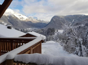 Chalet Aix